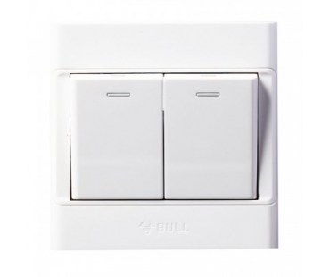 公牛 G05K211Y 暗装 白色 10A 二位单控面板...