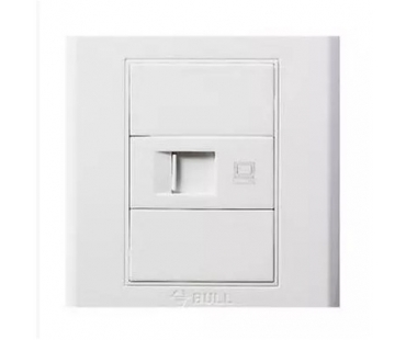 公牛 G05T102 白色 一位 暗装 电脑插座