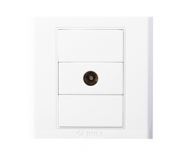 公牛 G05T103 白色 一位 暗装 电视插座